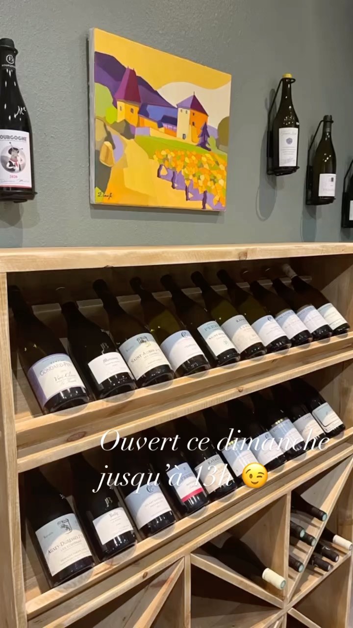Vins